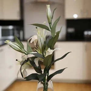https://edinburgh-pearl-apartments-dalry-house.edinburghhotelsuk.org